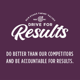 Our Values - Drive for Results